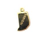 50 States Necklaces (Gold)