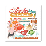 small gift under $10, vintage state magnet, colorful kitchen magnet, decorative fridge magnet with state design