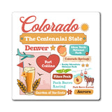 travel gift magnet, housewarming fridge magnet, unique souvenir gift, magnet for collectors