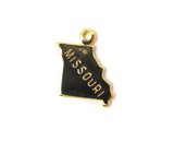 50 States Necklaces (Gold)