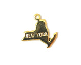 50 States Necklaces (Gold)