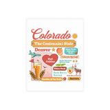 50 states postcard set, American states postcard, travel souvenir postcard, state map postcard