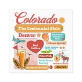 U.S. state stickers, Decorative state sticker, Travel-themed sticker, decorative vinyl sticker of all 50 states